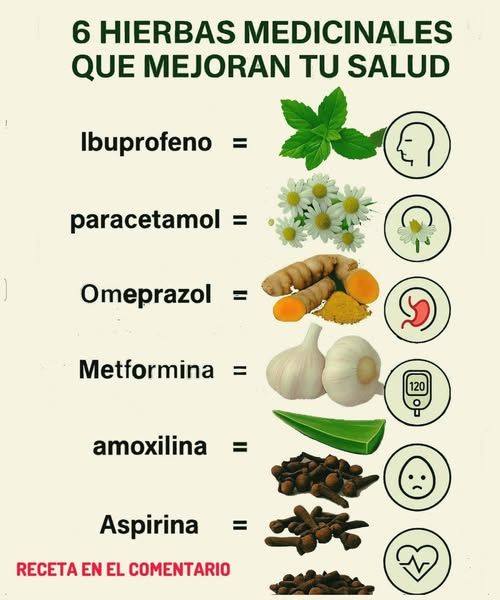 6 hierbas medicinales que mejoran tu salud