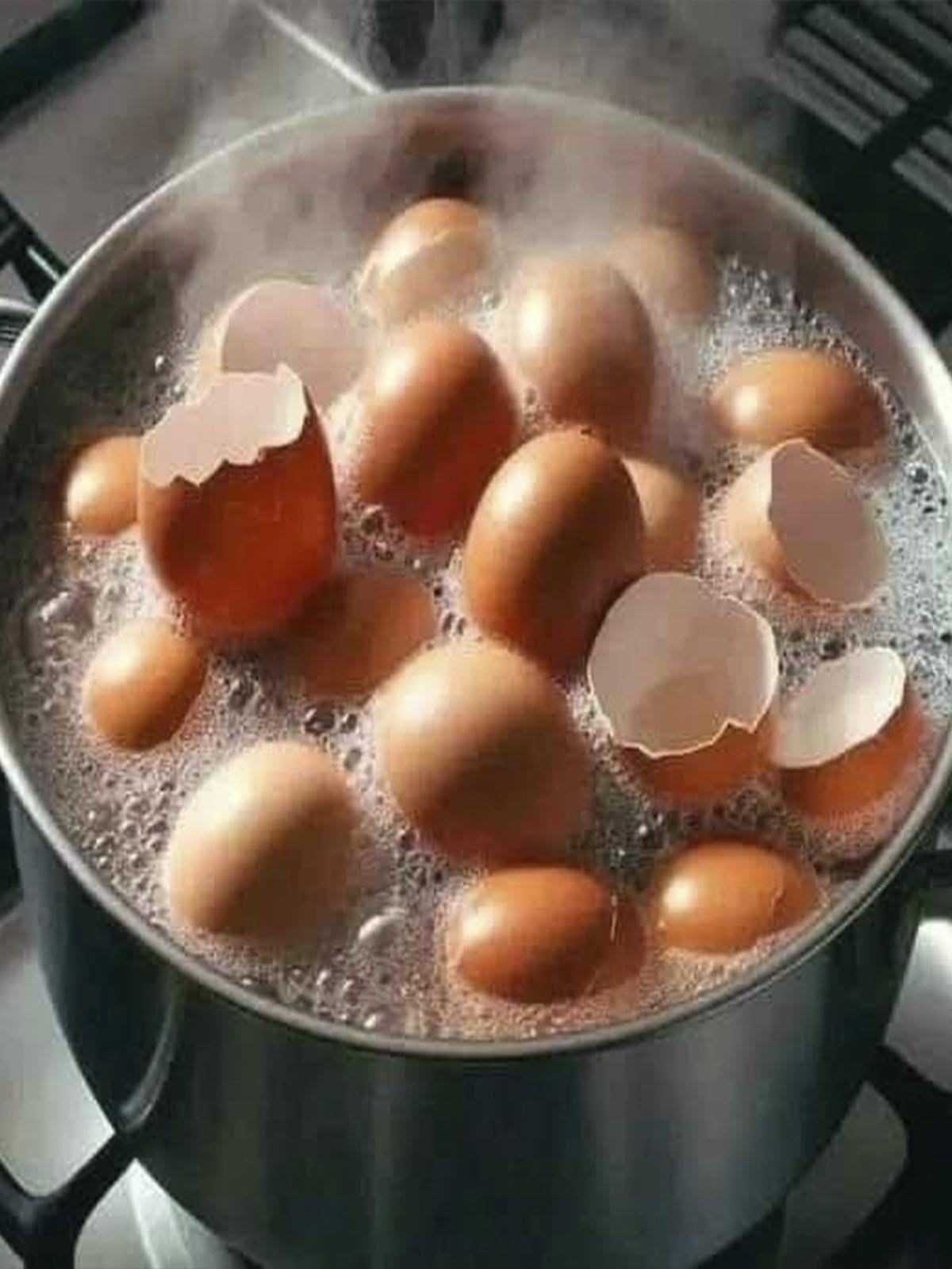 Cáscaras de huevo hirviendo