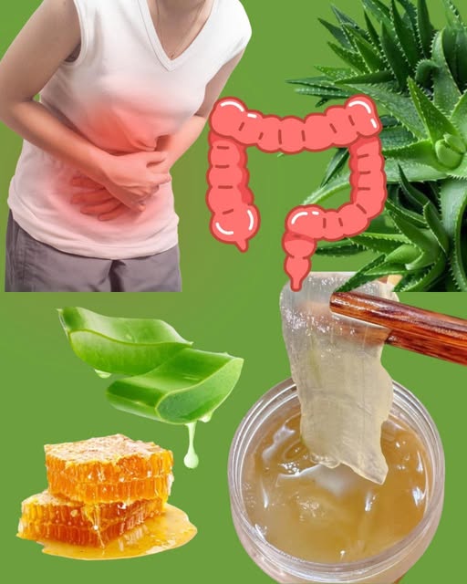 Aloe Vera y Miel para la Salud Digestiva