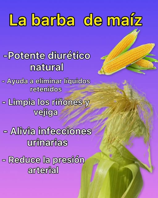 Barba de Maíz y Elote