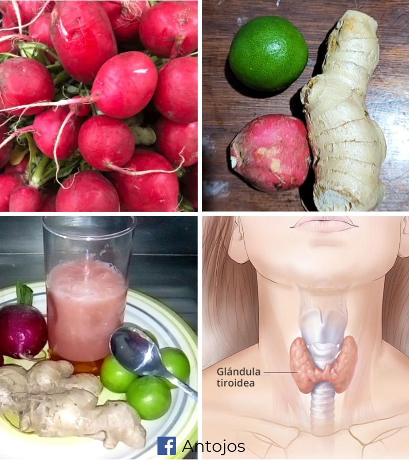 Ingredientes naturales para la tiroides