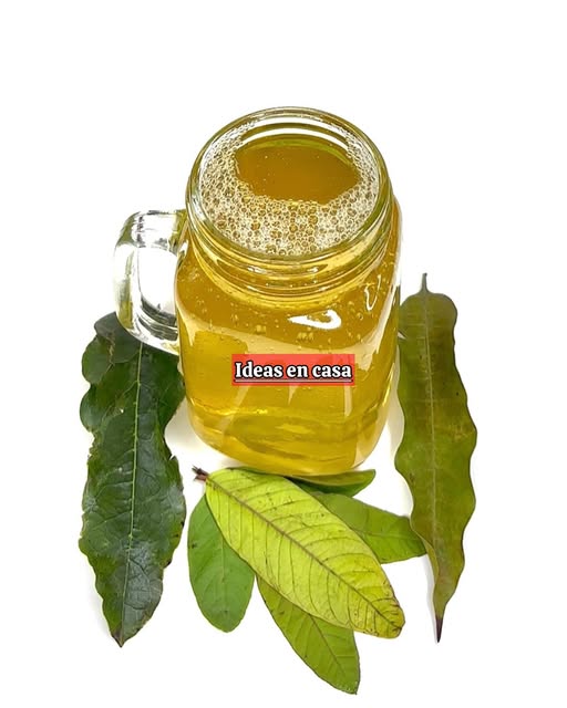 Infusión de hojas saludables