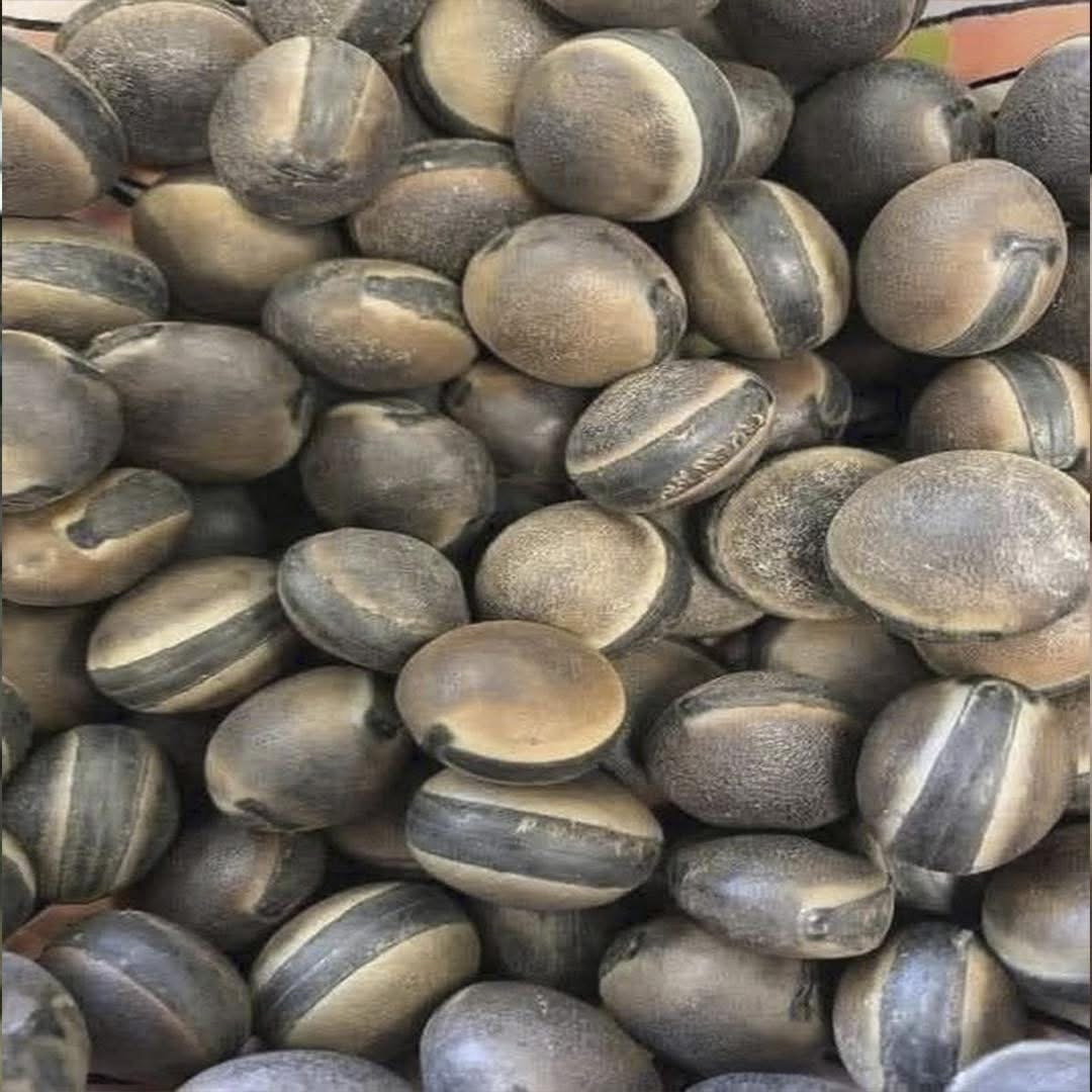 Semillas de fruto milagroso