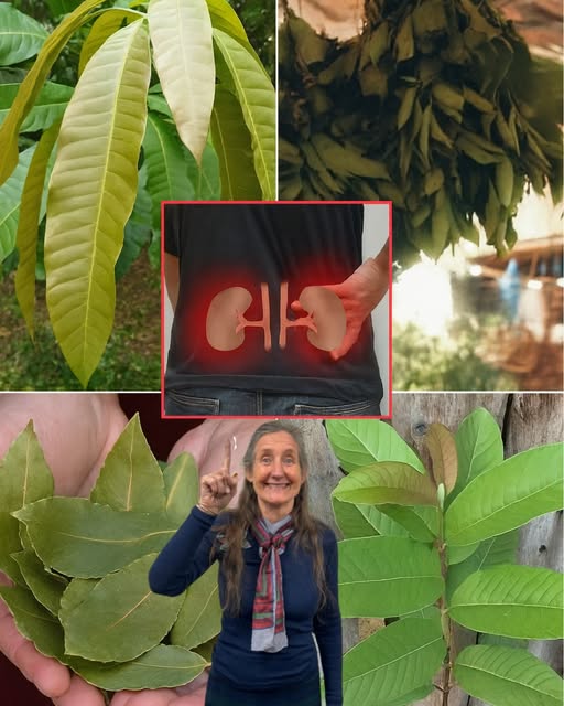 Jugo natural de zanahoria, pepino y apio