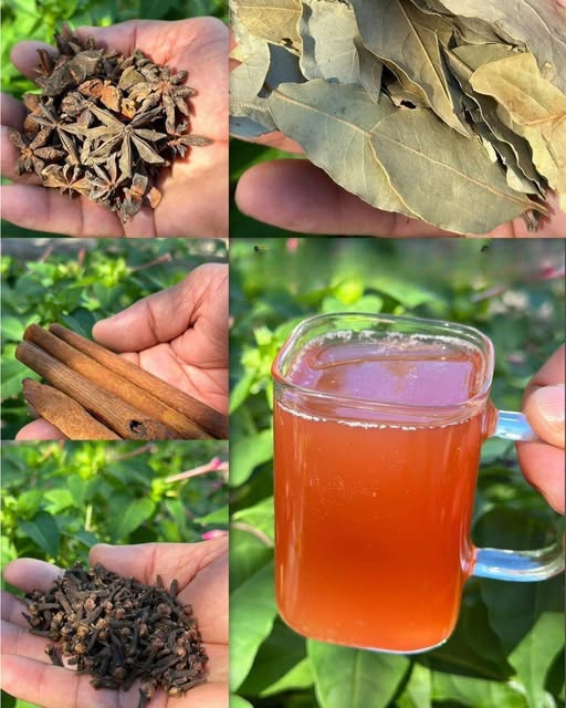 Ingredientes Naturales para Infusión