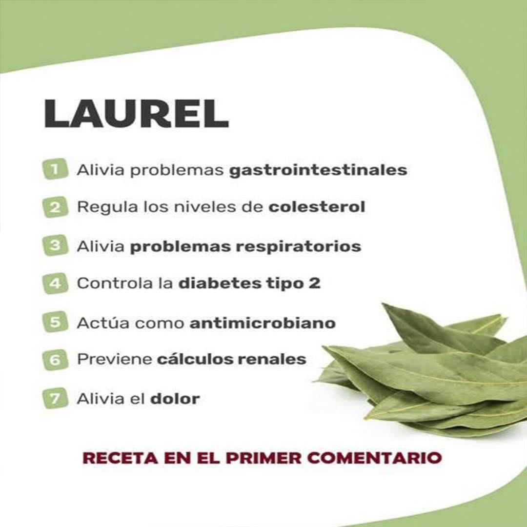 Hojas de Laurel
