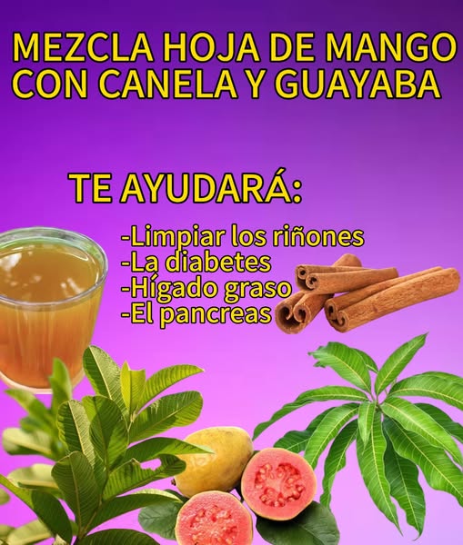 Mezcla de hojas de mango, canela y guayaba