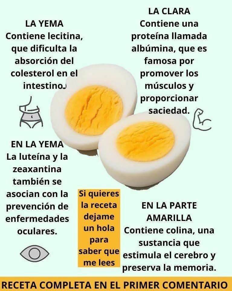 Beneficios del huevo