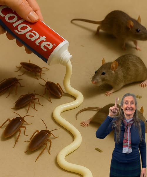 Uso de Pasta de Dientes Contra Plagas