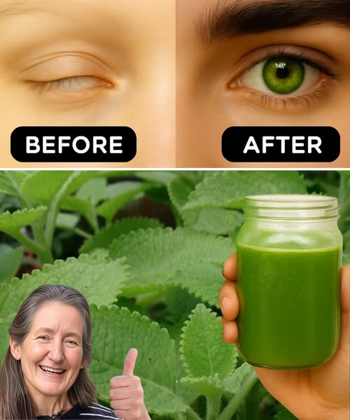 Antes y Después de mejorar la visión