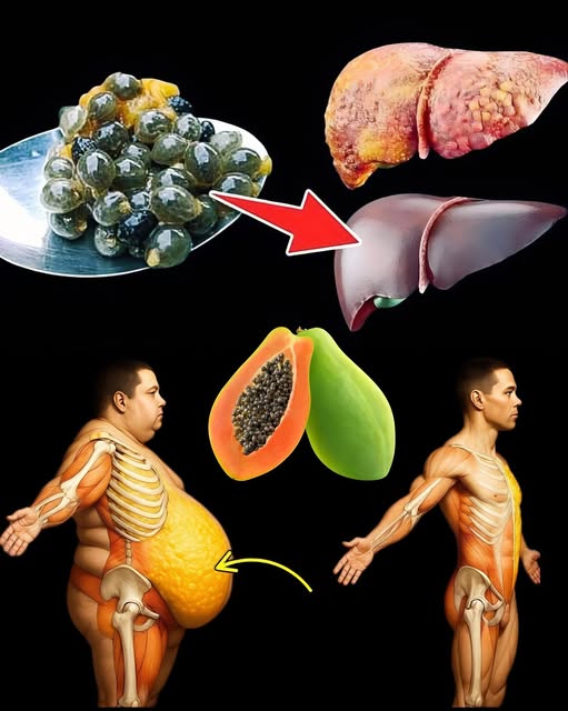 Semillas de papaya y sus beneficios para la salud
