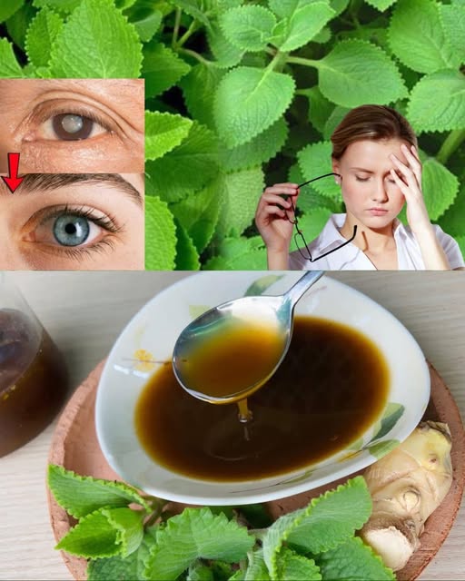 Remedios naturales para la salud ocular