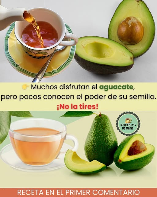 Aguacate y su semilla