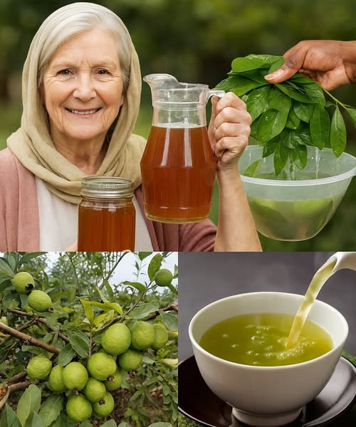 Té de hojas de guayaba