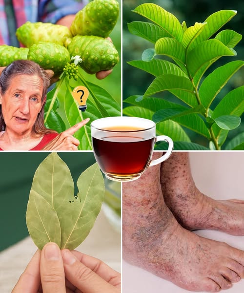 Ingredientes naturales para la salud