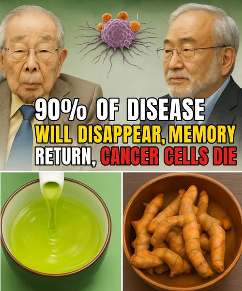 Alimentos saludables japoneses