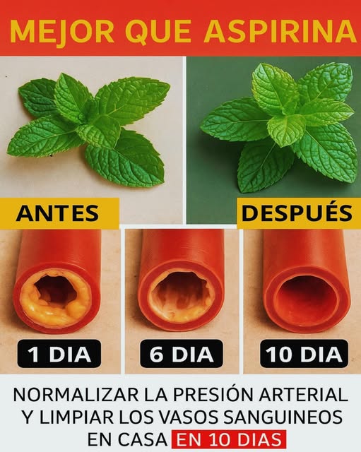 Proceso de limpieza de vasos sanguíneos