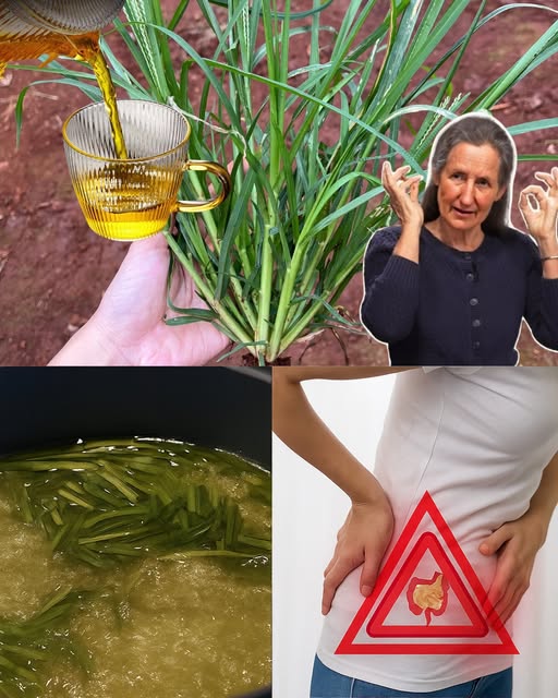 Infusión de hierba limón