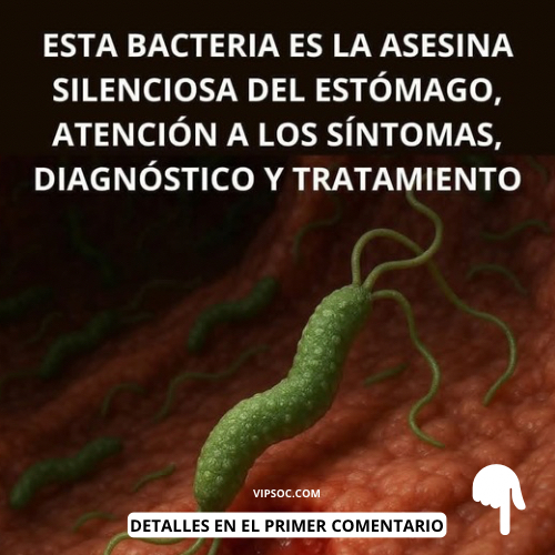 Bacteria Helicobacter pylori