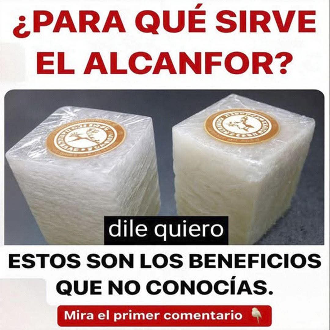 Beneficios del Alcanfor