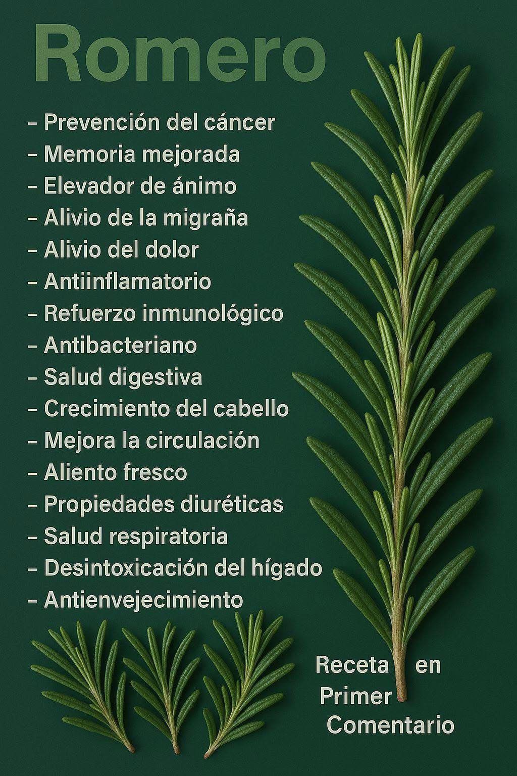 Hoja de romero y beneficios