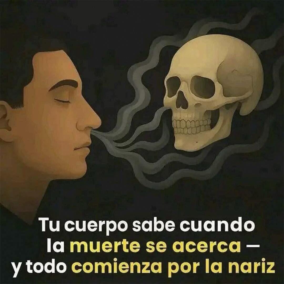 Ilustración que representa la conexión entre el olfato y la muerte