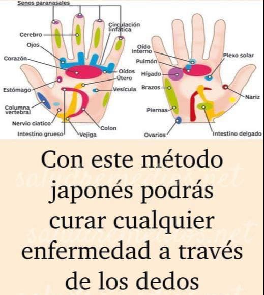 Diagrama de Jin Shin Jyutsu