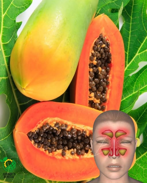 Beneficios de las semillas de papaya para la salud