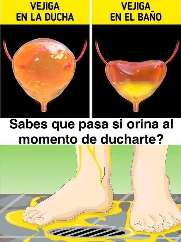 Vejiga en la Ducha vs Vejiga en el Baño