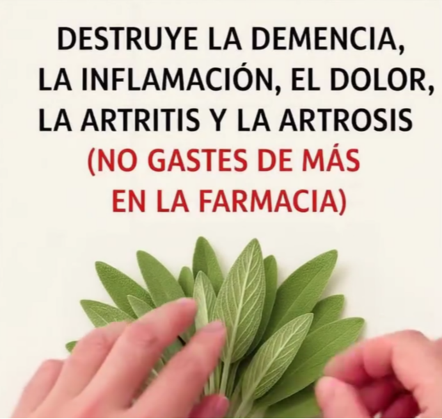 Beneficios de la Salvia