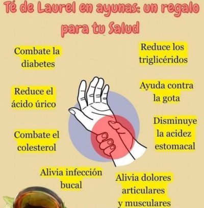 Té de Laurel en ayunas