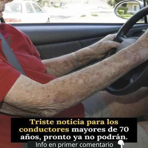 Conductor Mayor en el Volante