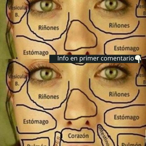 Rostro humano con áreas marcadas de órganos internos