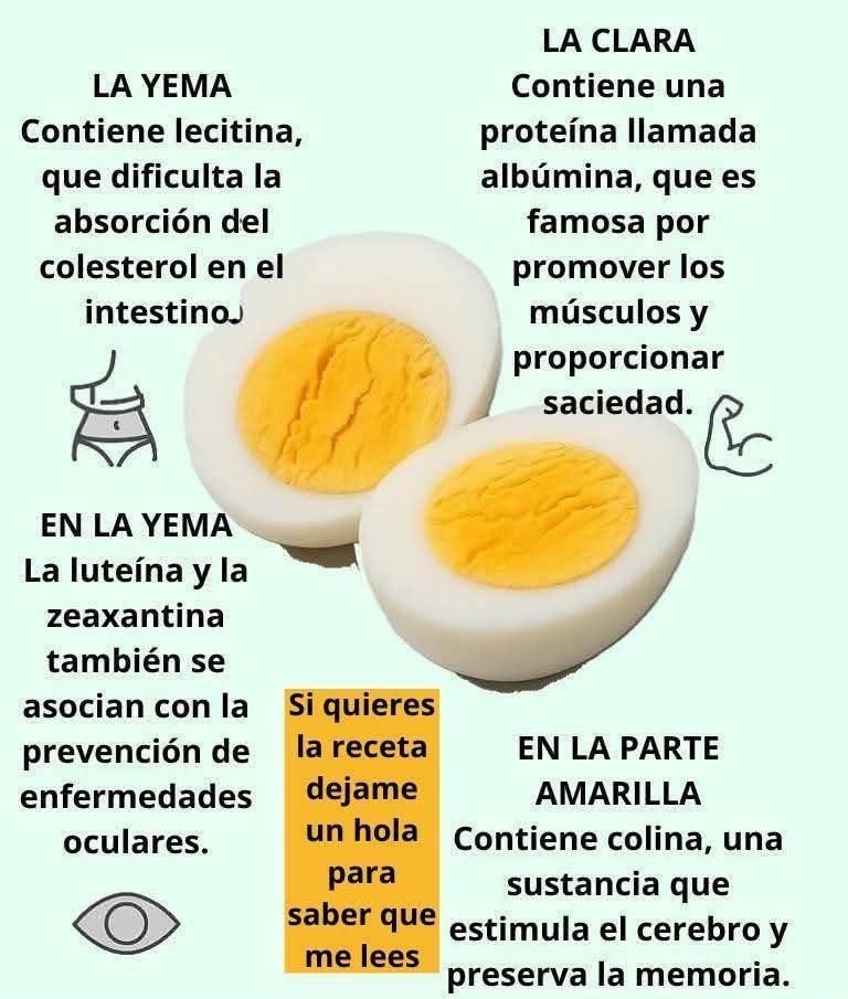 Beneficios del huevo hervido