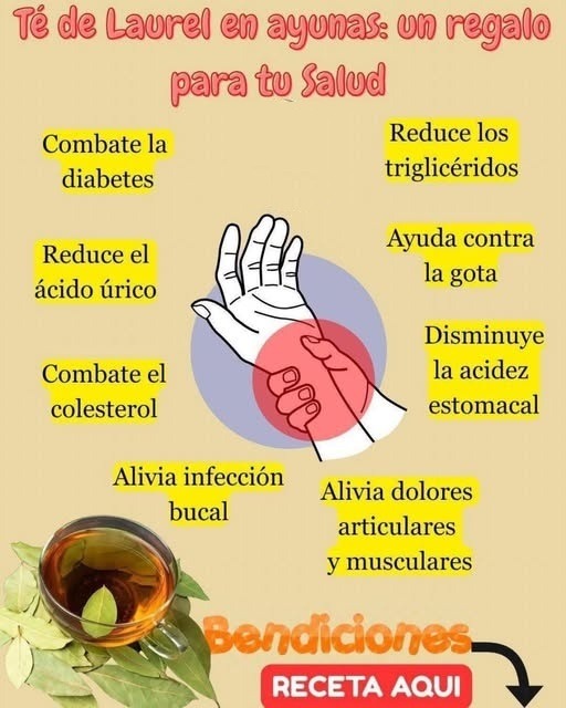Beneficios del Té de Laurel