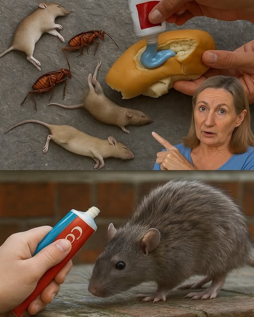 Método casero para deshacerse de plagas