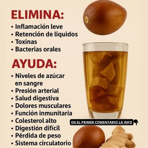 Beneficios de la semilla