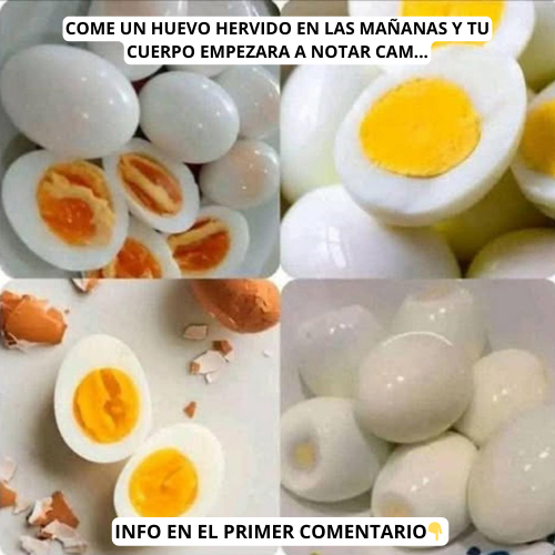 Collage de huevos hervidos